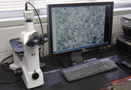 Metallographic microscope